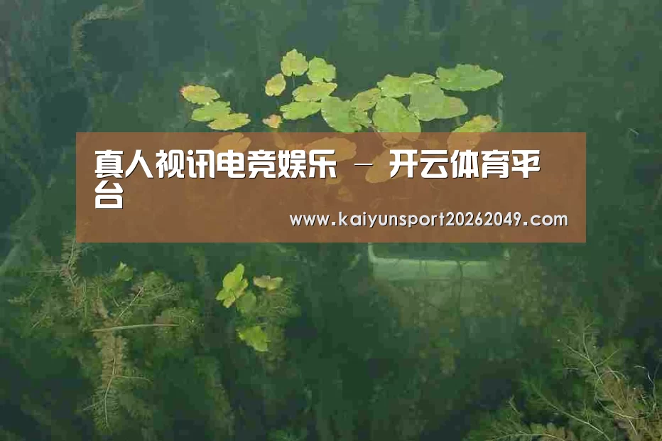 案例展示三
