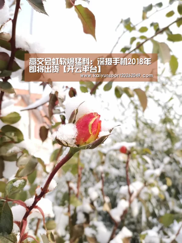 高交会虹软爆猛料:深摄手机2018年即将出货【开云平台】